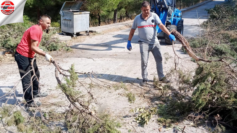 Karesi'de sonbahar hazırlığı başladı